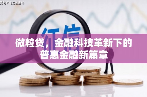 星子微粒贷，金融科技革新下的普惠金融新篇章