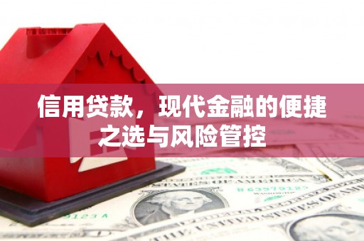 星子信用贷款，现代金融的便捷之选与风险管控