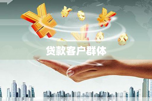星子贷款客户群体