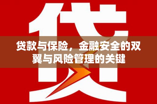星子贷款与保险，金融安全的双翼与风险管理的关键