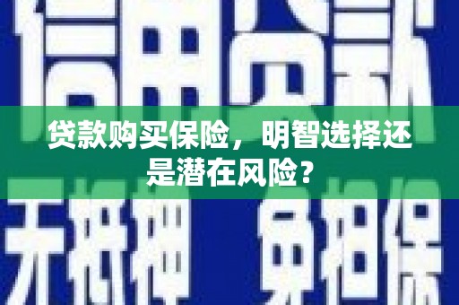 星子贷款购买保险，明智选择还是潜在风险？