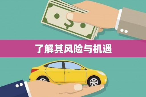 星子了解其风险与机遇