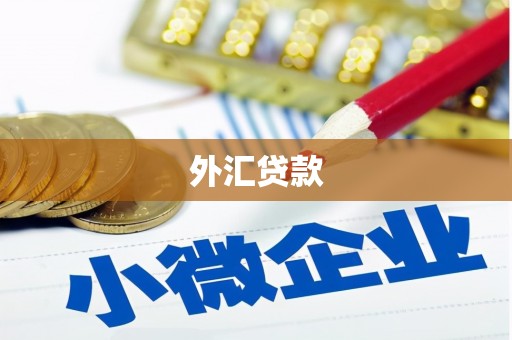 星子外汇贷款