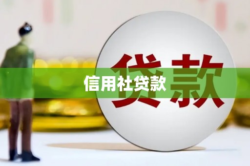 星子信用社贷款