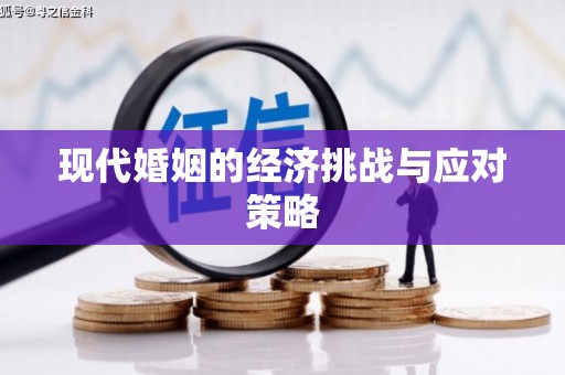 星子现代婚姻的经济挑战与应对策略