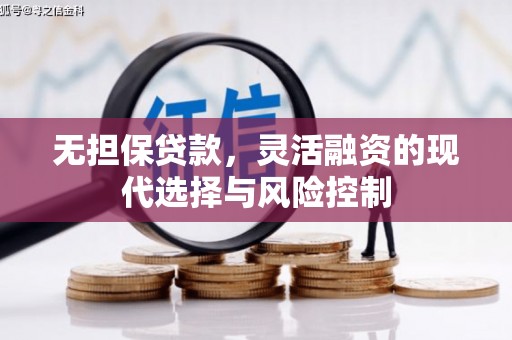 星子无担保贷款，灵活融资的现代选择与风险控制