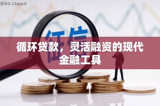 星子循环贷款，灵活融资的现代金融工具