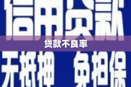 星子贷款不良率