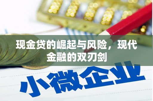 星子现金贷的崛起与风险，现代金融的双刃剑