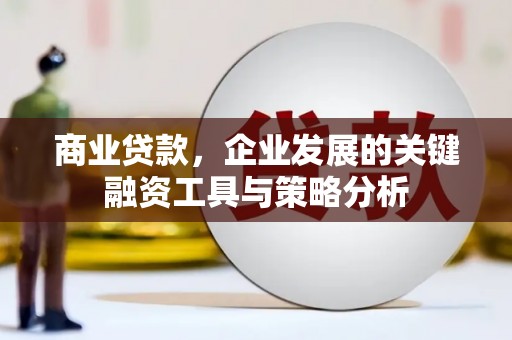 星子商业贷款，企业发展的关键融资工具与策略分析