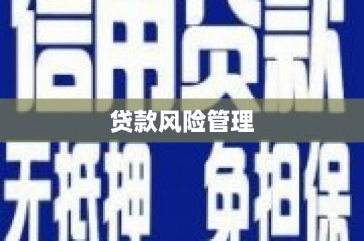 星子贷款风险管理