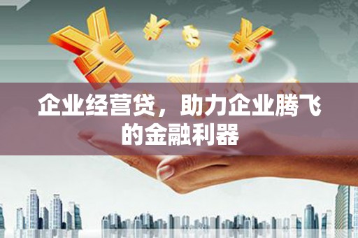 星子企业经营贷，助力企业腾飞的金融利器