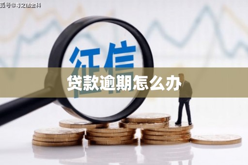 星子贷款逾期怎么办