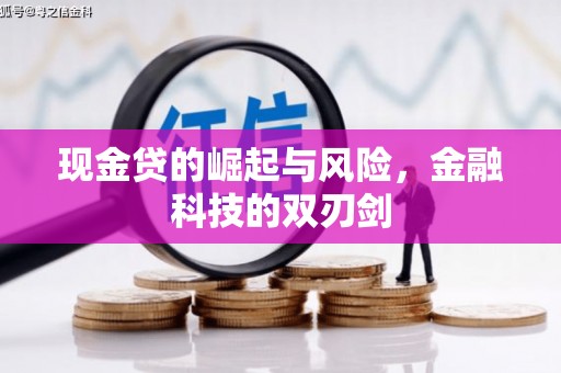 星子现金贷的崛起与风险，金融科技的双刃剑