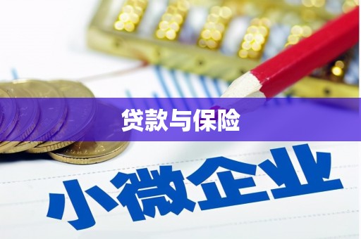 星子贷款与保险