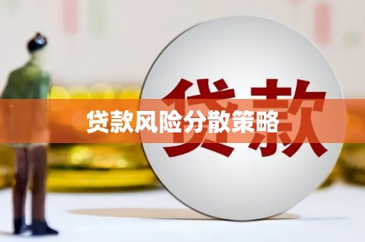 星子贷款风险分散策略