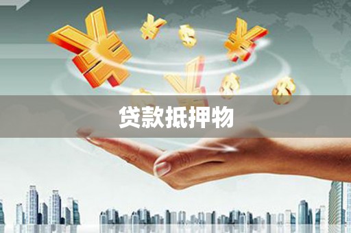 星子贷款抵押物