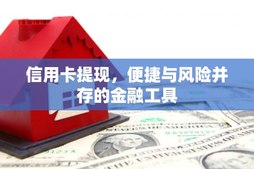 星子信用卡提现，便捷与风险并存的金融工具