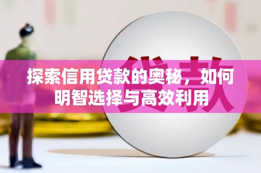 星子探索信用贷款的奥秘，如何明智选择与高效利用