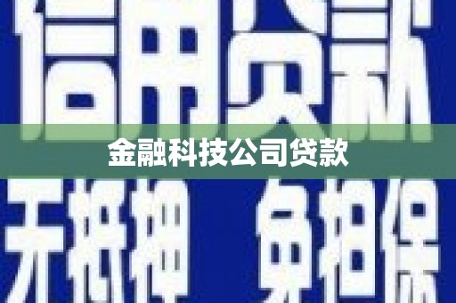 星子金融科技公司贷款