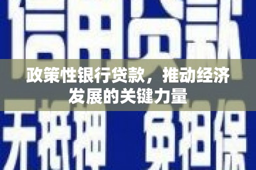 星子政策性银行贷款，推动经济发展的关键力量
