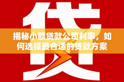 星子揭秘小额贷款公司利率，如何选择最合适的贷款方案