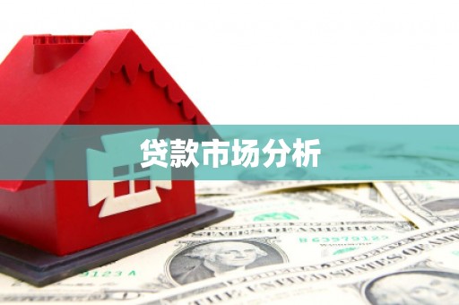 星子贷款市场分析
