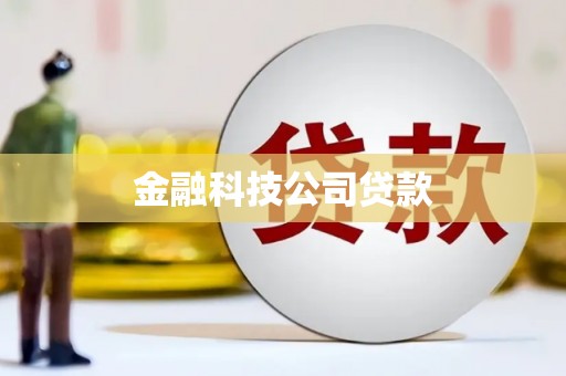 星子金融科技公司贷款