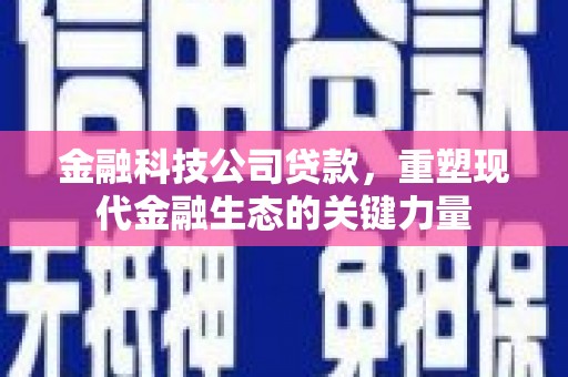 星子金融科技公司贷款，重塑现代金融生态的关键力量