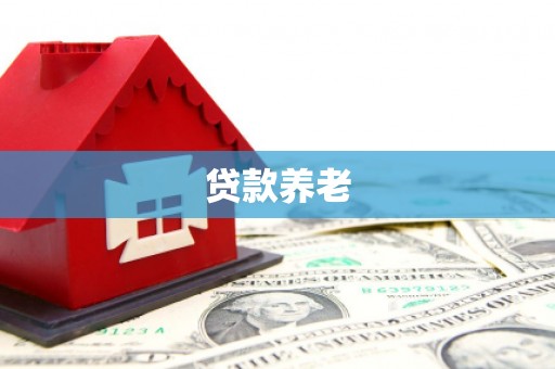 星子贷款养老