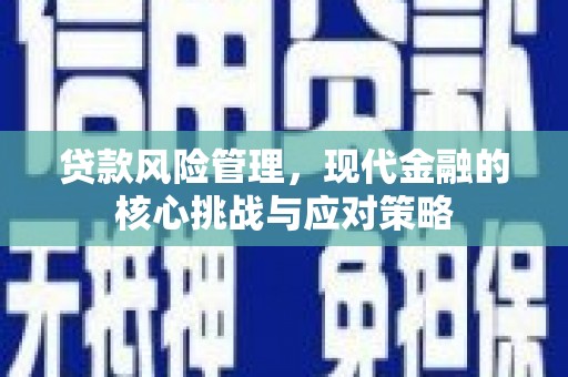 星子贷款风险管理，现代金融的核心挑战与应对策略