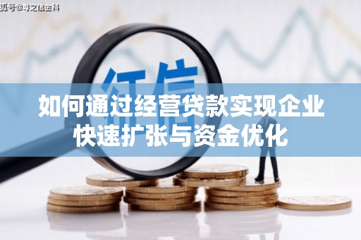 星子如何通过经营贷款实现企业快速扩张与资金优化