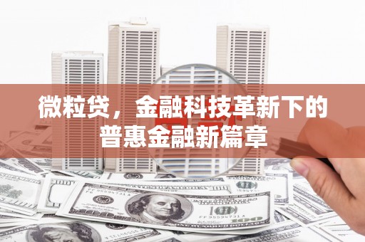 星子微粒贷，金融科技革新下的普惠金融新篇章