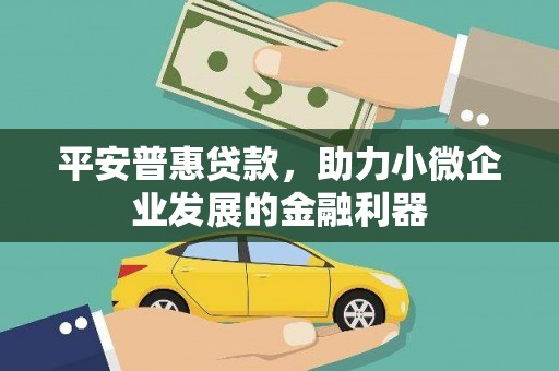 星子平安普惠贷款，助力小微企业发展的金融利器
