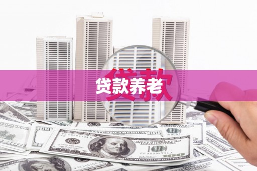 星子贷款养老
