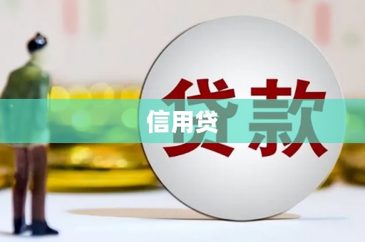 星子信用贷