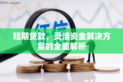 星子短期贷款，灵活资金解决方案的全面解析