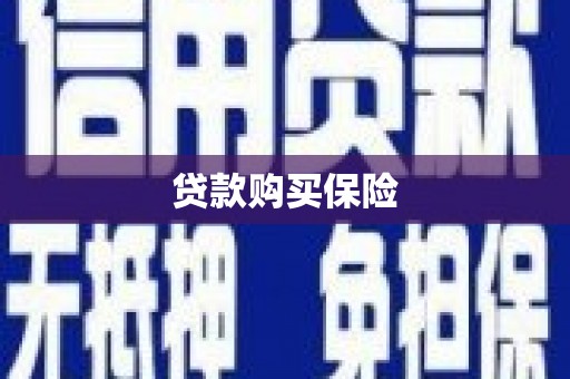 星子贷款购买保险