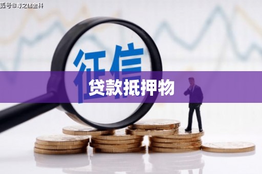 星子贷款抵押物