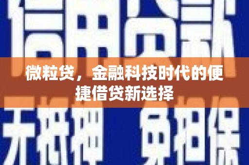 星子微粒贷，金融科技时代的便捷借贷新选择