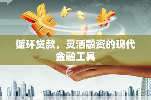 星子循环贷款，灵活融资的现代金融工具