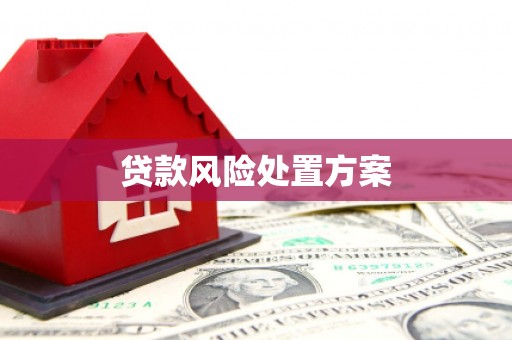 星子贷款风险处置方案