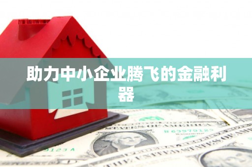星子助力中小企业腾飞的金融利器