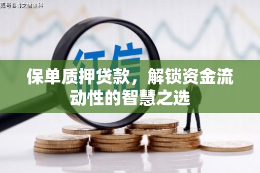 星子保单质押贷款，解锁资金流动性的智慧之选