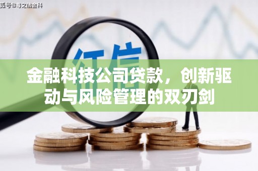 星子金融科技公司贷款，创新驱动与风险管理的双刃剑